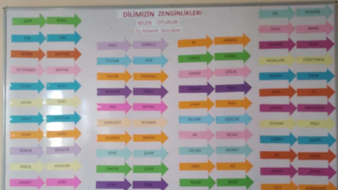 Dilimizin Zenginlikleri Kapsamında Okulumuzda Düzenlenen Panomuz